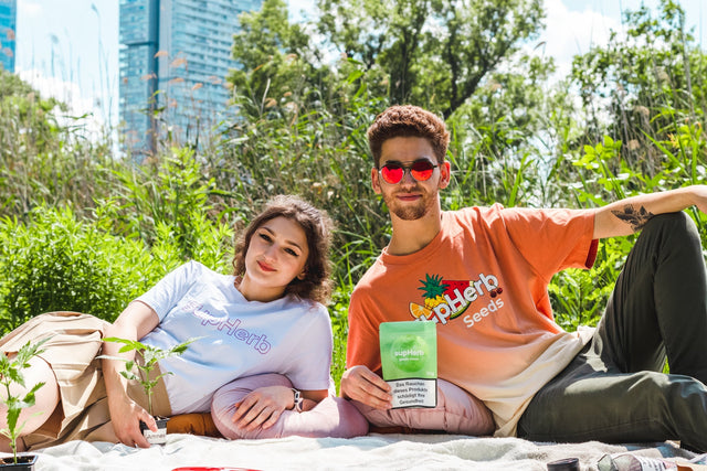 Was ist CBD und wie wirkt es?