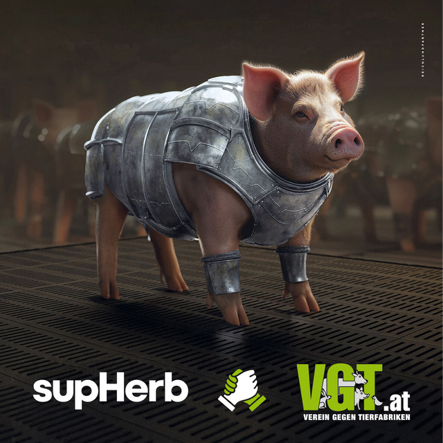 supHerb x VGT: 5% für den Tierschutz – ganz automatisch