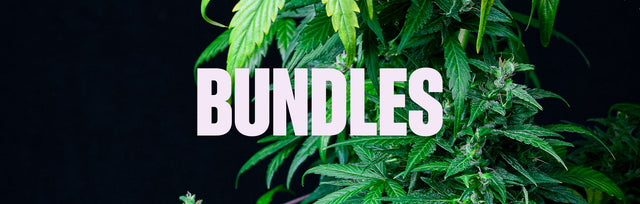 CBD Bundles