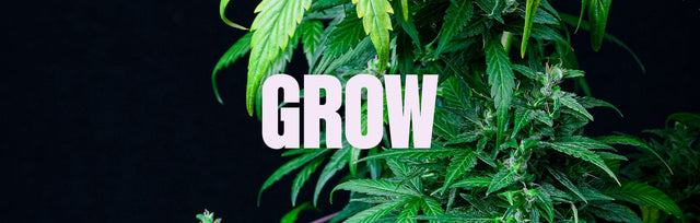 Grow