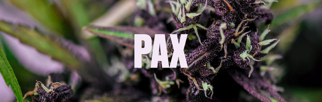 PAX