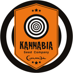 Kannabia THC Seeds