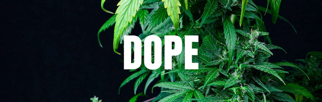 Dope
