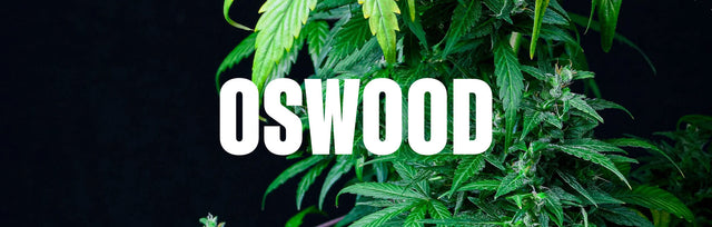 Oswood