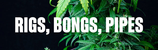 Rigs, Bongs & Pfeifen