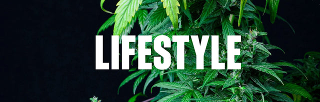 Lifestyle supHerb Apparel