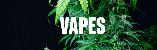 CBD Vapes Cartridges