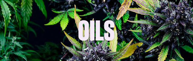 Öle zum Entspannen im Alltag