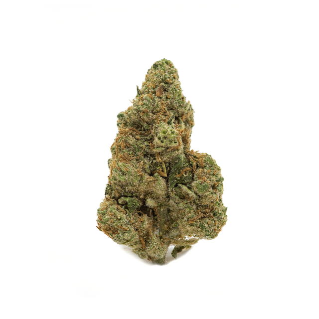 Wholesale - Big Bang - 1kg - supHerb