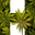 supHerb logo