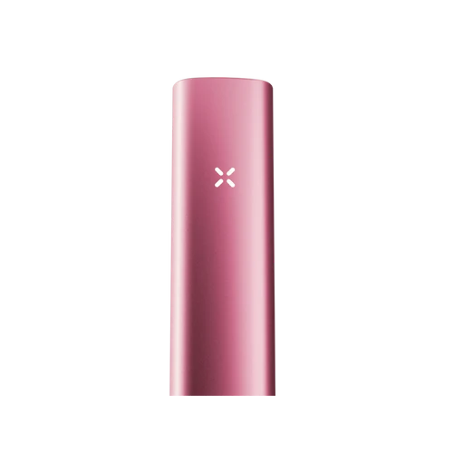 PAX mini 2