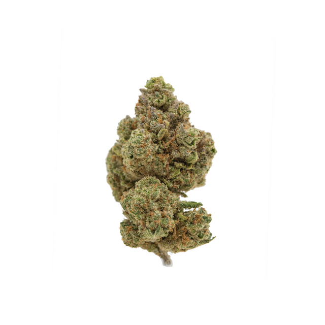 Wholesale - Sonic Boom - 500g - supHerb
