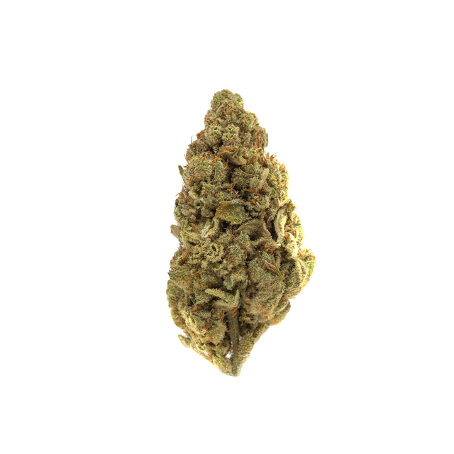 Wholesale - Special Edition - 250g - supHerb