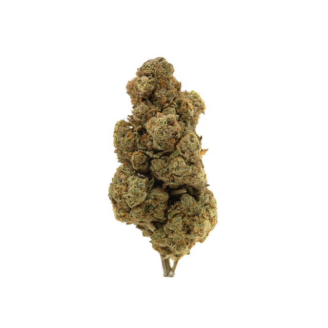 Wholesale - Special Edition - 250g - supHerb