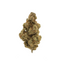 Wholesale - Special Edition - 500g - supHerb