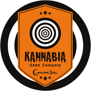 Kannabia Automatic Seeds